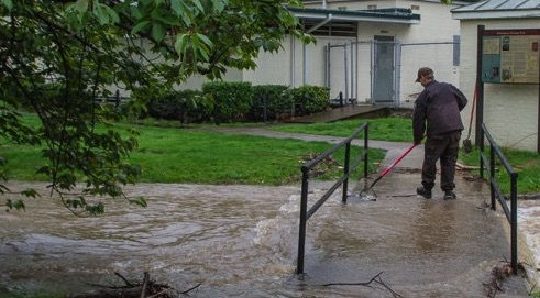 WSWA Supports Natural Green Infrastructure Efforts