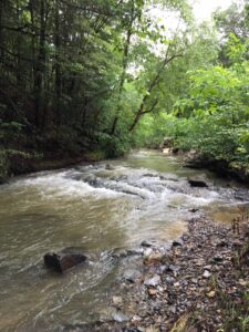 Promote Streambank Stabilization