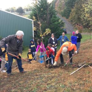Plant and Care for Trees