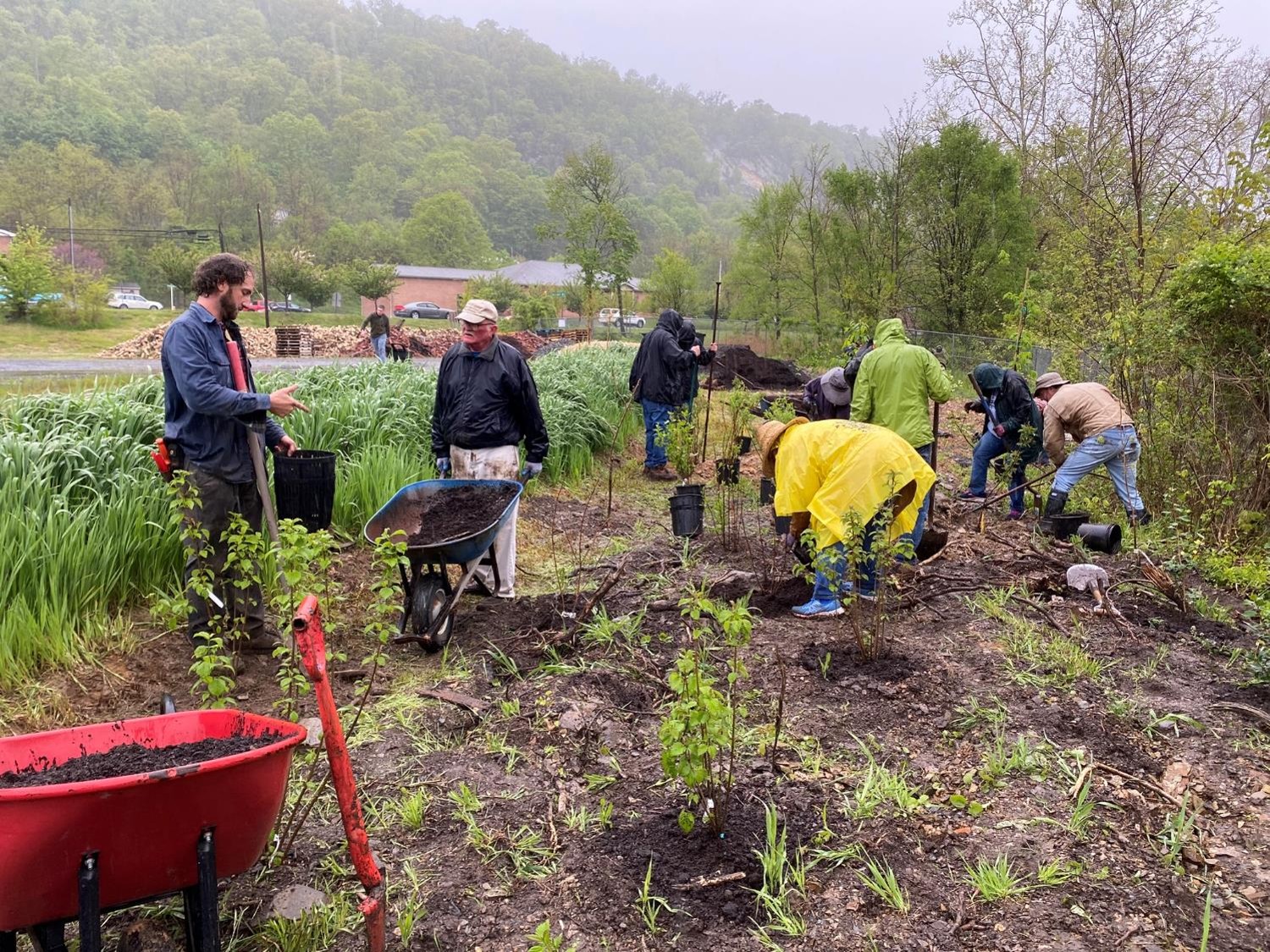 Tiny Forest and Hugels