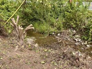 Protect Riparian Buffers