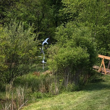 Widmyer Elementary School Wetlands 1