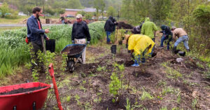 Understand Stormwater Best Management Practices