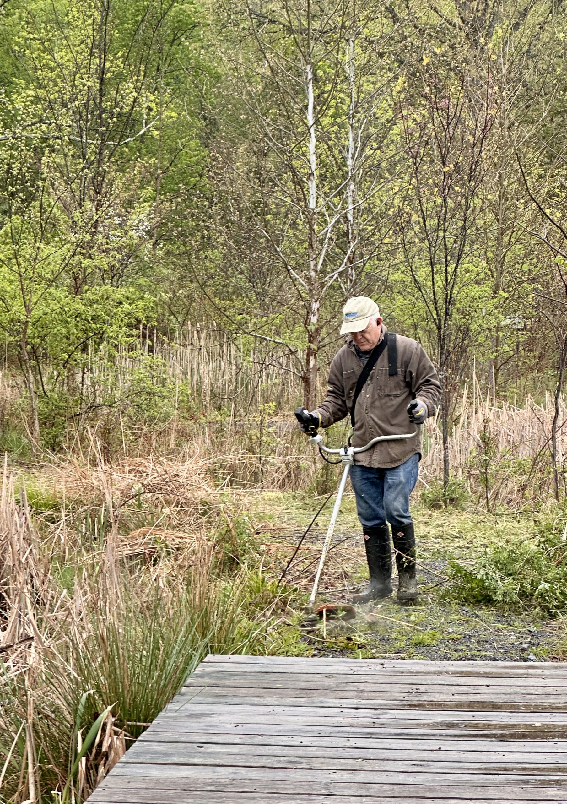 Widmyer Wetlands Weeding and Cleaning