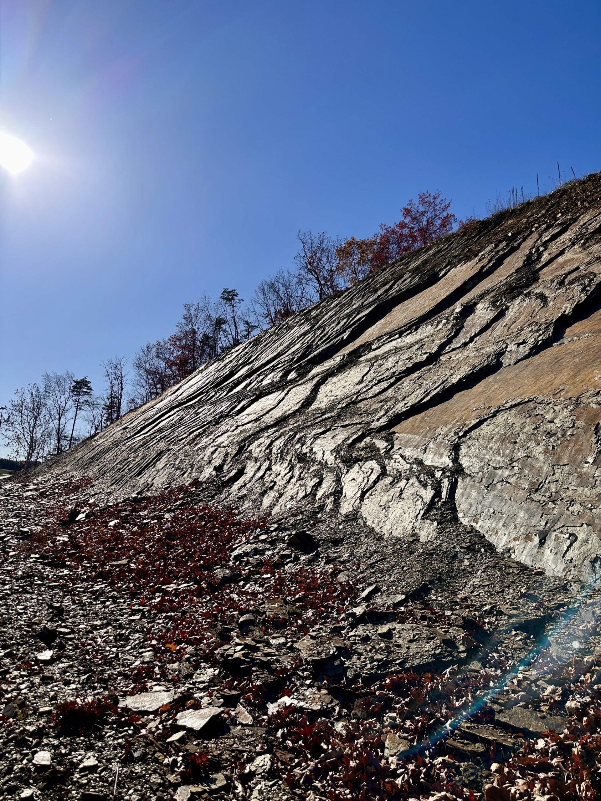 The Bypass and its Unnatural Shale Barrens