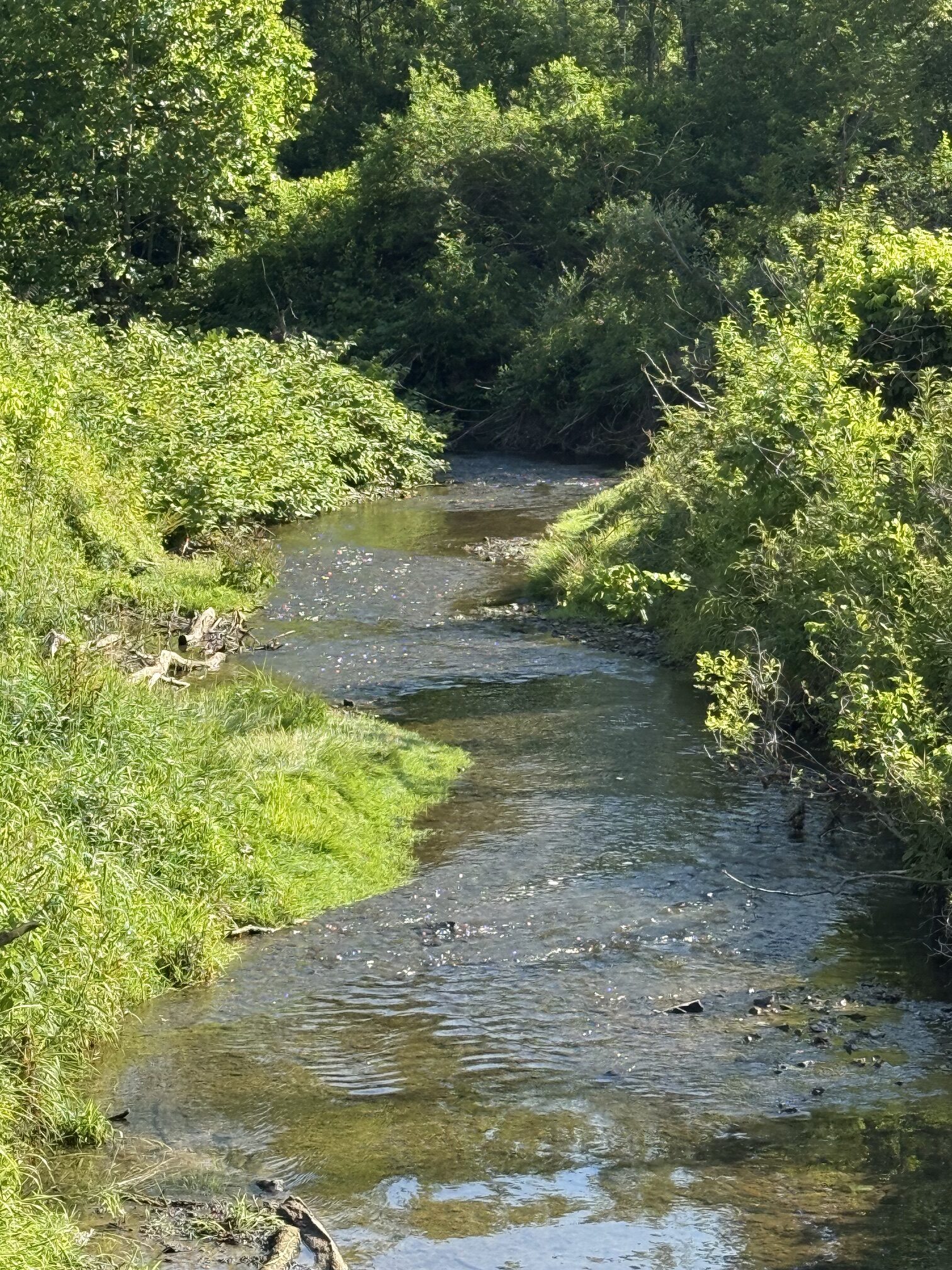 Sinuosity: A Simple Sign of Stream Health